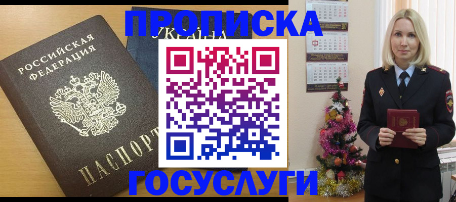 временная регистрация поиск в Камчатском крае